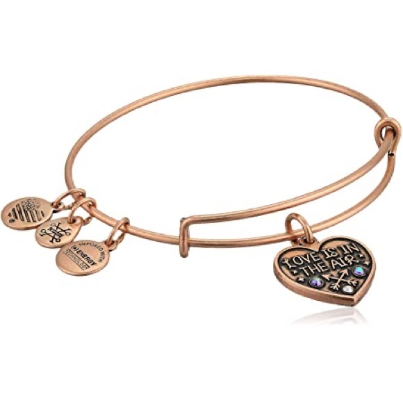 NWT Alex and Ani Love Is In The Air Charm Bracelet - Picture 1 of 3